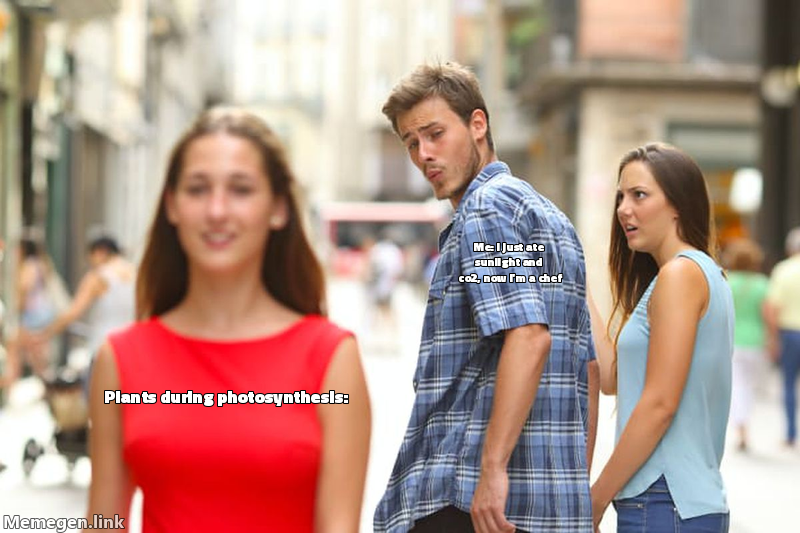 photosynthesis basics for class 10 meme about Why do plants perform photosynthesis? Explain simply for class 10.