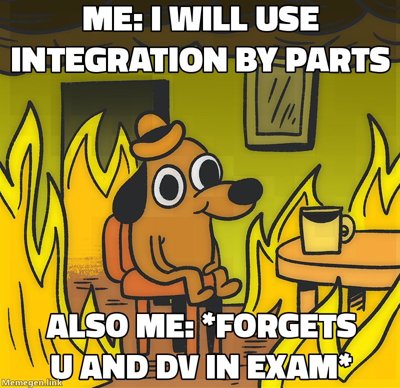 integration by parts class 12 meme about Explain integration by parts like I'm in class 12