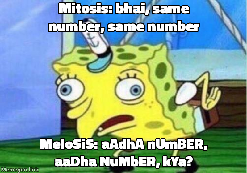 cell division: mitosis vs meiosis meme about Difference between mitosis and meiosis