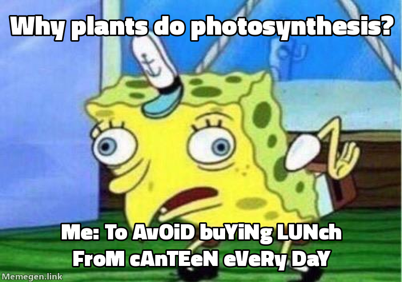 photosynthesis basics for class 10 meme about Why do plants perform photosynthesis? Explain simply for class 10.